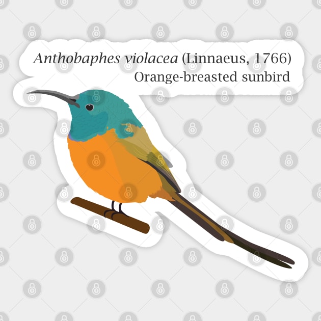 Orange-breasted sunbird Sticker by uncutcreations